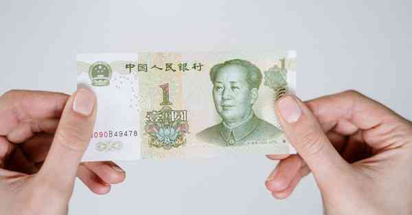 布谷加速器破解版 免费